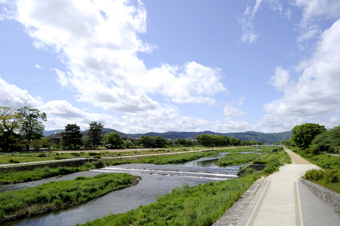 賀茂川沿いの景観